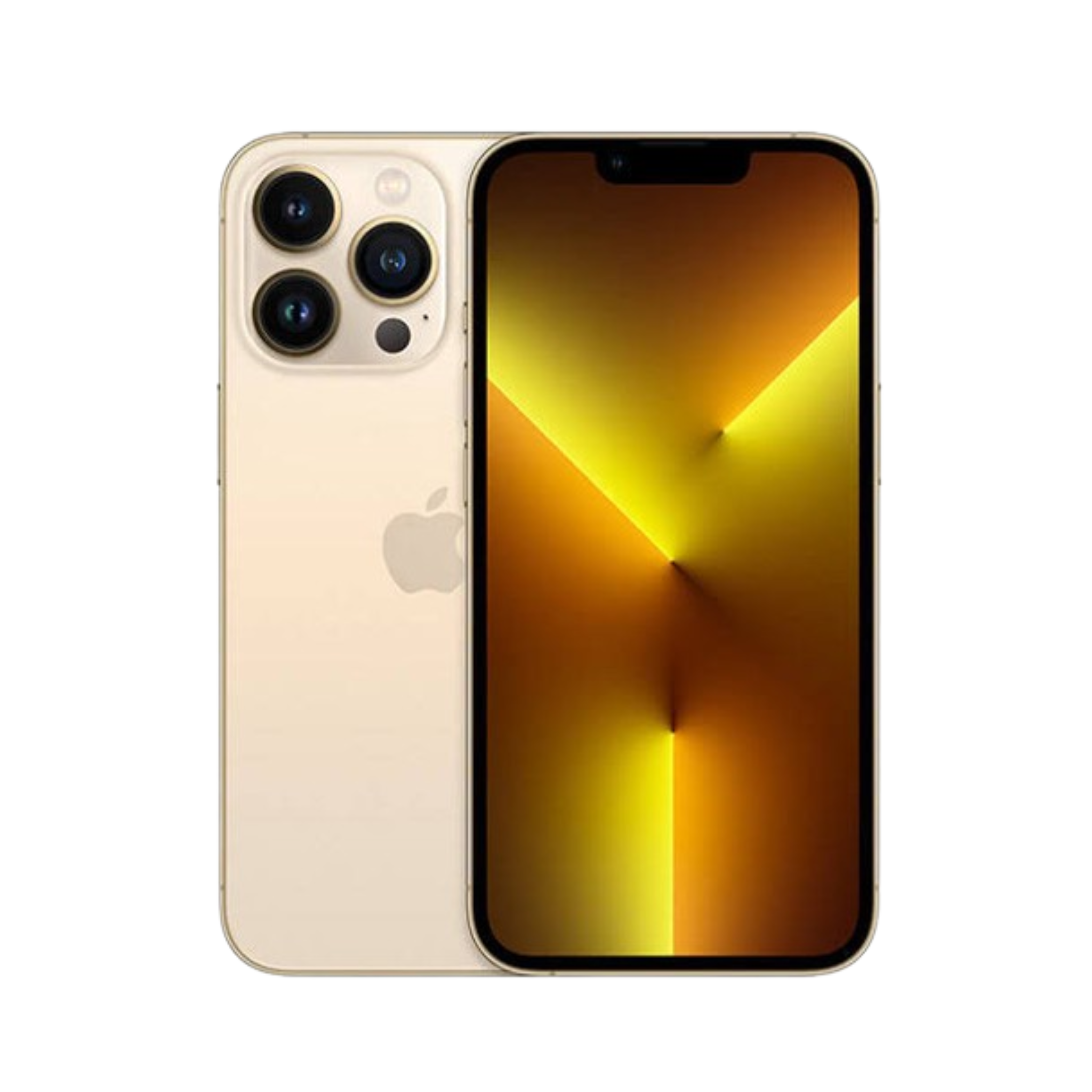iPhone 13 Pro Cases